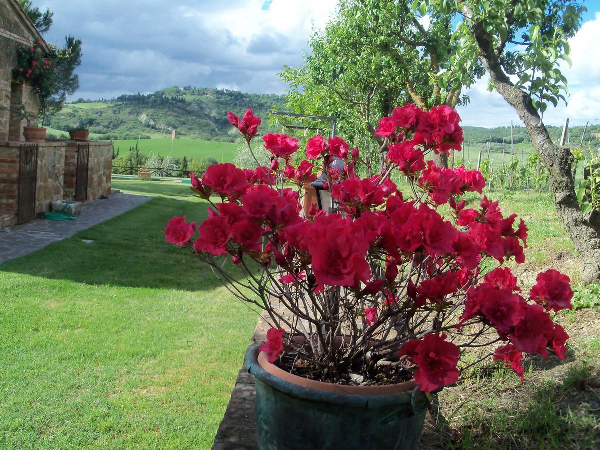 Agriturismo Santa Maria Pienza Exterior foto